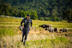 BIB: 
                            <button type="button" onclick="openModal(19127761)" class="btn btn-primary btn-sm float-right btn-popup" data-toggle="modal" data-target=".modal-high-quality">
                        <i class="fas fa-shopping-cart"></i> Add to Cart
                    </button>
                                            <button type="button" onclick="isThisMe(19127761, true)" class="btn btn-success btn-sm float-right btn-popup btn-isme hidden" data-toggle="tooltip" data-placement="bottom" title="นี่คือรูปของคุณใช่ไหม คลิกที่นี่เพื่อเอาเข้าอัลบั้ม">
                        <i class="fas fa-plus"></i> Add to album
                    </button>
                    <button type="button" onclick="isThisMe(19127761, false)" class="btn btn-warning btn-sm float-right btn-popup btn-isnotme hidden">
                        <i class="fas fa-ban"></i> Remove from album
                    </button>