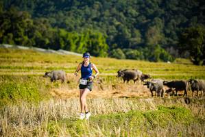 BIB: 
                            <button type="button" onclick="openModal(19127614)" class="btn btn-primary btn-sm float-right btn-popup" data-toggle="modal" data-target=".modal-high-quality">
                        <i class="fas fa-shopping-cart"></i> Add to Cart
                    </button>
                                            <button type="button" onclick="isThisMe(19127614, true)" class="btn btn-success btn-sm float-right btn-popup btn-isme hidden" data-toggle="tooltip" data-placement="bottom" title="นี่คือรูปของคุณใช่ไหม คลิกที่นี่เพื่อเอาเข้าอัลบั้ม">
                        <i class="fas fa-plus"></i> Add to album
                    </button>
                    <button type="button" onclick="isThisMe(19127614, false)" class="btn btn-warning btn-sm float-right btn-popup btn-isnotme hidden">
                        <i class="fas fa-ban"></i> Remove from album
                    </button>