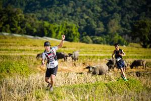 BIB: 
                            <button type="button" onclick="openModal(19127506)" class="btn btn-primary btn-sm float-right btn-popup" data-toggle="modal" data-target=".modal-high-quality">
                        <i class="fas fa-shopping-cart"></i> Add to Cart
                    </button>
                                            <button type="button" onclick="isThisMe(19127506, true)" class="btn btn-success btn-sm float-right btn-popup btn-isme hidden" data-toggle="tooltip" data-placement="bottom" title="นี่คือรูปของคุณใช่ไหม คลิกที่นี่เพื่อเอาเข้าอัลบั้ม">
                        <i class="fas fa-plus"></i> Add to album
                    </button>
                    <button type="button" onclick="isThisMe(19127506, false)" class="btn btn-warning btn-sm float-right btn-popup btn-isnotme hidden">
                        <i class="fas fa-ban"></i> Remove from album
                    </button>