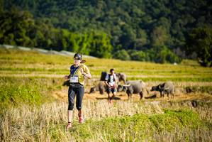 BIB: 1483
                            <button type="button" onclick="openModal(19127988)" class="btn btn-primary btn-sm float-right btn-popup" data-toggle="modal" data-target=".modal-high-quality">
                        <i class="fas fa-shopping-cart"></i> Add to Cart
                    </button>
                                            <button type="button" onclick="isThisMe(19127988, true)" class="btn btn-success btn-sm float-right btn-popup btn-isme hidden" data-toggle="tooltip" data-placement="bottom" title="นี่คือรูปของคุณใช่ไหม คลิกที่นี่เพื่อเอาเข้าอัลบั้ม">
                        <i class="fas fa-plus"></i> Add to album
                    </button>
                    <button type="button" onclick="isThisMe(19127988, false)" class="btn btn-warning btn-sm float-right btn-popup btn-isnotme hidden">
                        <i class="fas fa-ban"></i> Remove from album
                    </button>