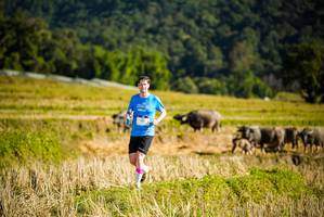 BIB: 
                            <button type="button" onclick="openModal(19127636)" class="btn btn-primary btn-sm float-right btn-popup" data-toggle="modal" data-target=".modal-high-quality">
                        <i class="fas fa-shopping-cart"></i> Add to Cart
                    </button>
                                            <button type="button" onclick="isThisMe(19127636, true)" class="btn btn-success btn-sm float-right btn-popup btn-isme hidden" data-toggle="tooltip" data-placement="bottom" title="นี่คือรูปของคุณใช่ไหม คลิกที่นี่เพื่อเอาเข้าอัลบั้ม">
                        <i class="fas fa-plus"></i> Add to album
                    </button>
                    <button type="button" onclick="isThisMe(19127636, false)" class="btn btn-warning btn-sm float-right btn-popup btn-isnotme hidden">
                        <i class="fas fa-ban"></i> Remove from album
                    </button>