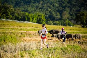 BIB: 
                            <button type="button" onclick="openModal(19127661)" class="btn btn-primary btn-sm float-right btn-popup" data-toggle="modal" data-target=".modal-high-quality">
                        <i class="fas fa-shopping-cart"></i> Add to Cart
                    </button>
                                            <button type="button" onclick="isThisMe(19127661, true)" class="btn btn-success btn-sm float-right btn-popup btn-isme hidden" data-toggle="tooltip" data-placement="bottom" title="นี่คือรูปของคุณใช่ไหม คลิกที่นี่เพื่อเอาเข้าอัลบั้ม">
                        <i class="fas fa-plus"></i> Add to album
                    </button>
                    <button type="button" onclick="isThisMe(19127661, false)" class="btn btn-warning btn-sm float-right btn-popup btn-isnotme hidden">
                        <i class="fas fa-ban"></i> Remove from album
                    </button>