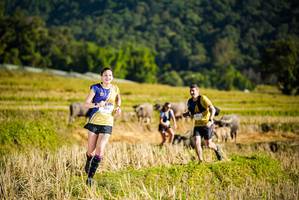 BIB: 
                            <button type="button" onclick="openModal(19127481)" class="btn btn-primary btn-sm float-right btn-popup" data-toggle="modal" data-target=".modal-high-quality">
                        <i class="fas fa-shopping-cart"></i> Add to Cart
                    </button>
                                            <button type="button" onclick="isThisMe(19127481, true)" class="btn btn-success btn-sm float-right btn-popup btn-isme hidden" data-toggle="tooltip" data-placement="bottom" title="นี่คือรูปของคุณใช่ไหม คลิกที่นี่เพื่อเอาเข้าอัลบั้ม">
                        <i class="fas fa-plus"></i> Add to album
                    </button>
                    <button type="button" onclick="isThisMe(19127481, false)" class="btn btn-warning btn-sm float-right btn-popup btn-isnotme hidden">
                        <i class="fas fa-ban"></i> Remove from album
                    </button>