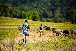 BIB: 
                            <button type="button" onclick="openModal(19127605)" class="btn btn-primary btn-sm float-right btn-popup" data-toggle="modal" data-target=".modal-high-quality">
                        <i class="fas fa-shopping-cart"></i> Add to Cart
                    </button>
                                            <button type="button" onclick="isThisMe(19127605, true)" class="btn btn-success btn-sm float-right btn-popup btn-isme hidden" data-toggle="tooltip" data-placement="bottom" title="นี่คือรูปของคุณใช่ไหม คลิกที่นี่เพื่อเอาเข้าอัลบั้ม">
                        <i class="fas fa-plus"></i> Add to album
                    </button>
                    <button type="button" onclick="isThisMe(19127605, false)" class="btn btn-warning btn-sm float-right btn-popup btn-isnotme hidden">
                        <i class="fas fa-ban"></i> Remove from album
                    </button>