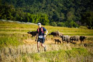 BIB: 198
                            <button type="button" onclick="openModal(19128225)" class="btn btn-primary btn-sm float-right btn-popup" data-toggle="modal" data-target=".modal-high-quality">
                        <i class="fas fa-shopping-cart"></i> Add to Cart
                    </button>
                                            <button type="button" onclick="isThisMe(19128225, true)" class="btn btn-success btn-sm float-right btn-popup btn-isme hidden" data-toggle="tooltip" data-placement="bottom" title="นี่คือรูปของคุณใช่ไหม คลิกที่นี่เพื่อเอาเข้าอัลบั้ม">
                        <i class="fas fa-plus"></i> Add to album
                    </button>
                    <button type="button" onclick="isThisMe(19128225, false)" class="btn btn-warning btn-sm float-right btn-popup btn-isnotme hidden">
                        <i class="fas fa-ban"></i> Remove from album
                    </button>