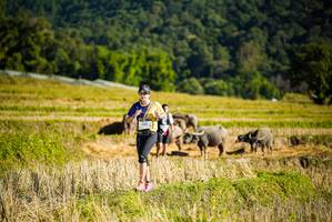 BIB: 1487
                            <button type="button" onclick="openModal(19127987)" class="btn btn-primary btn-sm float-right btn-popup" data-toggle="modal" data-target=".modal-high-quality">
                        <i class="fas fa-shopping-cart"></i> Add to Cart
                    </button>
                                            <button type="button" onclick="isThisMe(19127987, true)" class="btn btn-success btn-sm float-right btn-popup btn-isme hidden" data-toggle="tooltip" data-placement="bottom" title="นี่คือรูปของคุณใช่ไหม คลิกที่นี่เพื่อเอาเข้าอัลบั้ม">
                        <i class="fas fa-plus"></i> Add to album
                    </button>
                    <button type="button" onclick="isThisMe(19127987, false)" class="btn btn-warning btn-sm float-right btn-popup btn-isnotme hidden">
                        <i class="fas fa-ban"></i> Remove from album
                    </button>