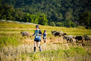 BIB: 
                            <button type="button" onclick="openModal(19127599)" class="btn btn-primary btn-sm float-right btn-popup" data-toggle="modal" data-target=".modal-high-quality">
                        <i class="fas fa-shopping-cart"></i> Add to Cart
                    </button>
                                            <button type="button" onclick="isThisMe(19127599, true)" class="btn btn-success btn-sm float-right btn-popup btn-isme hidden" data-toggle="tooltip" data-placement="bottom" title="นี่คือรูปของคุณใช่ไหม คลิกที่นี่เพื่อเอาเข้าอัลบั้ม">
                        <i class="fas fa-plus"></i> Add to album
                    </button>
                    <button type="button" onclick="isThisMe(19127599, false)" class="btn btn-warning btn-sm float-right btn-popup btn-isnotme hidden">
                        <i class="fas fa-ban"></i> Remove from album
                    </button>