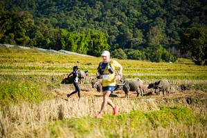 BIB: 
                            <button type="button" onclick="openModal(19127970)" class="btn btn-primary btn-sm float-right btn-popup" data-toggle="modal" data-target=".modal-high-quality">
                        <i class="fas fa-shopping-cart"></i> Add to Cart
                    </button>
                                            <button type="button" onclick="isThisMe(19127970, true)" class="btn btn-success btn-sm float-right btn-popup btn-isme hidden" data-toggle="tooltip" data-placement="bottom" title="นี่คือรูปของคุณใช่ไหม คลิกที่นี่เพื่อเอาเข้าอัลบั้ม">
                        <i class="fas fa-plus"></i> Add to album
                    </button>
                    <button type="button" onclick="isThisMe(19127970, false)" class="btn btn-warning btn-sm float-right btn-popup btn-isnotme hidden">
                        <i class="fas fa-ban"></i> Remove from album
                    </button>