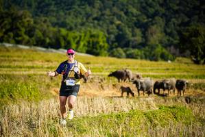 BIB: 1000
                            <button type="button" onclick="openModal(19128239)" class="btn btn-primary btn-sm float-right btn-popup" data-toggle="modal" data-target=".modal-high-quality">
                        <i class="fas fa-shopping-cart"></i> Add to Cart
                    </button>
                                            <button type="button" onclick="isThisMe(19128239, true)" class="btn btn-success btn-sm float-right btn-popup btn-isme hidden" data-toggle="tooltip" data-placement="bottom" title="นี่คือรูปของคุณใช่ไหม คลิกที่นี่เพื่อเอาเข้าอัลบั้ม">
                        <i class="fas fa-plus"></i> Add to album
                    </button>
                    <button type="button" onclick="isThisMe(19128239, false)" class="btn btn-warning btn-sm float-right btn-popup btn-isnotme hidden">
                        <i class="fas fa-ban"></i> Remove from album
                    </button>