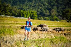 BIB: 
                            <button type="button" onclick="openModal(19127907)" class="btn btn-primary btn-sm float-right btn-popup" data-toggle="modal" data-target=".modal-high-quality">
                        <i class="fas fa-shopping-cart"></i> Add to Cart
                    </button>
                                            <button type="button" onclick="isThisMe(19127907, true)" class="btn btn-success btn-sm float-right btn-popup btn-isme hidden" data-toggle="tooltip" data-placement="bottom" title="นี่คือรูปของคุณใช่ไหม คลิกที่นี่เพื่อเอาเข้าอัลบั้ม">
                        <i class="fas fa-plus"></i> Add to album
                    </button>
                    <button type="button" onclick="isThisMe(19127907, false)" class="btn btn-warning btn-sm float-right btn-popup btn-isnotme hidden">
                        <i class="fas fa-ban"></i> Remove from album
                    </button>