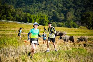 BIB: 
                            <button type="button" onclick="openModal(19127794)" class="btn btn-primary btn-sm float-right btn-popup" data-toggle="modal" data-target=".modal-high-quality">
                        <i class="fas fa-shopping-cart"></i> Add to Cart
                    </button>
                                            <button type="button" onclick="isThisMe(19127794, true)" class="btn btn-success btn-sm float-right btn-popup btn-isme hidden" data-toggle="tooltip" data-placement="bottom" title="นี่คือรูปของคุณใช่ไหม คลิกที่นี่เพื่อเอาเข้าอัลบั้ม">
                        <i class="fas fa-plus"></i> Add to album
                    </button>
                    <button type="button" onclick="isThisMe(19127794, false)" class="btn btn-warning btn-sm float-right btn-popup btn-isnotme hidden">
                        <i class="fas fa-ban"></i> Remove from album
                    </button>