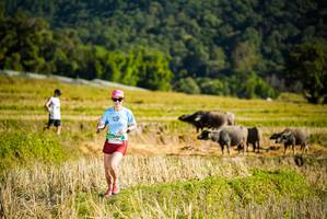 BIB: 
                            <button type="button" onclick="openModal(19127733)" class="btn btn-primary btn-sm float-right btn-popup" data-toggle="modal" data-target=".modal-high-quality">
                        <i class="fas fa-shopping-cart"></i> Add to Cart
                    </button>
                                            <button type="button" onclick="isThisMe(19127733, true)" class="btn btn-success btn-sm float-right btn-popup btn-isme hidden" data-toggle="tooltip" data-placement="bottom" title="นี่คือรูปของคุณใช่ไหม คลิกที่นี่เพื่อเอาเข้าอัลบั้ม">
                        <i class="fas fa-plus"></i> Add to album
                    </button>
                    <button type="button" onclick="isThisMe(19127733, false)" class="btn btn-warning btn-sm float-right btn-popup btn-isnotme hidden">
                        <i class="fas fa-ban"></i> Remove from album
                    </button>