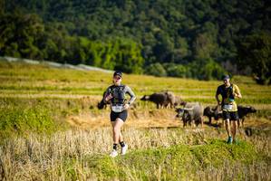 BIB: 
                            <button type="button" onclick="openModal(19128261)" class="btn btn-primary btn-sm float-right btn-popup" data-toggle="modal" data-target=".modal-high-quality">
                        <i class="fas fa-shopping-cart"></i> Add to Cart
                    </button>
                                            <button type="button" onclick="isThisMe(19128261, true)" class="btn btn-success btn-sm float-right btn-popup btn-isme hidden" data-toggle="tooltip" data-placement="bottom" title="นี่คือรูปของคุณใช่ไหม คลิกที่นี่เพื่อเอาเข้าอัลบั้ม">
                        <i class="fas fa-plus"></i> Add to album
                    </button>
                    <button type="button" onclick="isThisMe(19128261, false)" class="btn btn-warning btn-sm float-right btn-popup btn-isnotme hidden">
                        <i class="fas fa-ban"></i> Remove from album
                    </button>