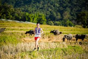 BIB: 
                            <button type="button" onclick="openModal(19127536)" class="btn btn-primary btn-sm float-right btn-popup" data-toggle="modal" data-target=".modal-high-quality">
                        <i class="fas fa-shopping-cart"></i> Add to Cart
                    </button>
                                            <button type="button" onclick="isThisMe(19127536, true)" class="btn btn-success btn-sm float-right btn-popup btn-isme hidden" data-toggle="tooltip" data-placement="bottom" title="นี่คือรูปของคุณใช่ไหม คลิกที่นี่เพื่อเอาเข้าอัลบั้ม">
                        <i class="fas fa-plus"></i> Add to album
                    </button>
                    <button type="button" onclick="isThisMe(19127536, false)" class="btn btn-warning btn-sm float-right btn-popup btn-isnotme hidden">
                        <i class="fas fa-ban"></i> Remove from album
                    </button>