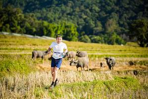 BIB: 
                            <button type="button" onclick="openModal(19127459)" class="btn btn-primary btn-sm float-right btn-popup" data-toggle="modal" data-target=".modal-high-quality">
                        <i class="fas fa-shopping-cart"></i> Add to Cart
                    </button>
                                            <button type="button" onclick="isThisMe(19127459, true)" class="btn btn-success btn-sm float-right btn-popup btn-isme hidden" data-toggle="tooltip" data-placement="bottom" title="นี่คือรูปของคุณใช่ไหม คลิกที่นี่เพื่อเอาเข้าอัลบั้ม">
                        <i class="fas fa-plus"></i> Add to album
                    </button>
                    <button type="button" onclick="isThisMe(19127459, false)" class="btn btn-warning btn-sm float-right btn-popup btn-isnotme hidden">
                        <i class="fas fa-ban"></i> Remove from album
                    </button>