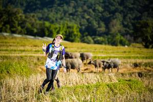 BIB: 
                            <button type="button" onclick="openModal(19127434)" class="btn btn-primary btn-sm float-right btn-popup" data-toggle="modal" data-target=".modal-high-quality">
                        <i class="fas fa-shopping-cart"></i> Add to Cart
                    </button>
                                            <button type="button" onclick="isThisMe(19127434, true)" class="btn btn-success btn-sm float-right btn-popup btn-isme hidden" data-toggle="tooltip" data-placement="bottom" title="นี่คือรูปของคุณใช่ไหม คลิกที่นี่เพื่อเอาเข้าอัลบั้ม">
                        <i class="fas fa-plus"></i> Add to album
                    </button>
                    <button type="button" onclick="isThisMe(19127434, false)" class="btn btn-warning btn-sm float-right btn-popup btn-isnotme hidden">
                        <i class="fas fa-ban"></i> Remove from album
                    </button>