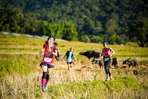 BIB: 178054, 784, 1472
                            <button type="button" onclick="openModal(19127710)" class="btn btn-primary btn-sm float-right btn-popup" data-toggle="modal" data-target=".modal-high-quality">
                        <i class="fas fa-shopping-cart"></i> Add to Cart
                    </button>
                                            <button type="button" onclick="isThisMe(19127710, true)" class="btn btn-success btn-sm float-right btn-popup btn-isme hidden" data-toggle="tooltip" data-placement="bottom" title="นี่คือรูปของคุณใช่ไหม คลิกที่นี่เพื่อเอาเข้าอัลบั้ม">
                        <i class="fas fa-plus"></i> Add to album
                    </button>
                    <button type="button" onclick="isThisMe(19127710, false)" class="btn btn-warning btn-sm float-right btn-popup btn-isnotme hidden">
                        <i class="fas fa-ban"></i> Remove from album
                    </button>