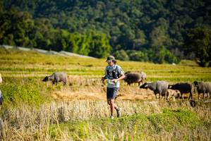 BIB: 
                            <button type="button" onclick="openModal(19127588)" class="btn btn-primary btn-sm float-right btn-popup" data-toggle="modal" data-target=".modal-high-quality">
                        <i class="fas fa-shopping-cart"></i> Add to Cart
                    </button>
                                            <button type="button" onclick="isThisMe(19127588, true)" class="btn btn-success btn-sm float-right btn-popup btn-isme hidden" data-toggle="tooltip" data-placement="bottom" title="นี่คือรูปของคุณใช่ไหม คลิกที่นี่เพื่อเอาเข้าอัลบั้ม">
                        <i class="fas fa-plus"></i> Add to album
                    </button>
                    <button type="button" onclick="isThisMe(19127588, false)" class="btn btn-warning btn-sm float-right btn-popup btn-isnotme hidden">
                        <i class="fas fa-ban"></i> Remove from album
                    </button>