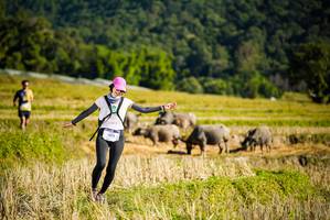 BIB: 1473
                            <button type="button" onclick="openModal(19127961)" class="btn btn-primary btn-sm float-right btn-popup" data-toggle="modal" data-target=".modal-high-quality">
                        <i class="fas fa-shopping-cart"></i> Add to Cart
                    </button>
                                            <button type="button" onclick="isThisMe(19127961, true)" class="btn btn-success btn-sm float-right btn-popup btn-isme hidden" data-toggle="tooltip" data-placement="bottom" title="นี่คือรูปของคุณใช่ไหม คลิกที่นี่เพื่อเอาเข้าอัลบั้ม">
                        <i class="fas fa-plus"></i> Add to album
                    </button>
                    <button type="button" onclick="isThisMe(19127961, false)" class="btn btn-warning btn-sm float-right btn-popup btn-isnotme hidden">
                        <i class="fas fa-ban"></i> Remove from album
                    </button>