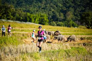 BIB: 
                            <button type="button" onclick="openModal(19128043)" class="btn btn-primary btn-sm float-right btn-popup" data-toggle="modal" data-target=".modal-high-quality">
                        <i class="fas fa-shopping-cart"></i> Add to Cart
                    </button>
                                            <button type="button" onclick="isThisMe(19128043, true)" class="btn btn-success btn-sm float-right btn-popup btn-isme hidden" data-toggle="tooltip" data-placement="bottom" title="นี่คือรูปของคุณใช่ไหม คลิกที่นี่เพื่อเอาเข้าอัลบั้ม">
                        <i class="fas fa-plus"></i> Add to album
                    </button>
                    <button type="button" onclick="isThisMe(19128043, false)" class="btn btn-warning btn-sm float-right btn-popup btn-isnotme hidden">
                        <i class="fas fa-ban"></i> Remove from album
                    </button>