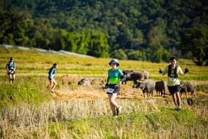 BIB: 
                            <button type="button" onclick="openModal(19127783)" class="btn btn-primary btn-sm float-right btn-popup" data-toggle="modal" data-target=".modal-high-quality">
                        <i class="fas fa-shopping-cart"></i> Add to Cart
                    </button>
                                            <button type="button" onclick="isThisMe(19127783, true)" class="btn btn-success btn-sm float-right btn-popup btn-isme hidden" data-toggle="tooltip" data-placement="bottom" title="นี่คือรูปของคุณใช่ไหม คลิกที่นี่เพื่อเอาเข้าอัลบั้ม">
                        <i class="fas fa-plus"></i> Add to album
                    </button>
                    <button type="button" onclick="isThisMe(19127783, false)" class="btn btn-warning btn-sm float-right btn-popup btn-isnotme hidden">
                        <i class="fas fa-ban"></i> Remove from album
                    </button>