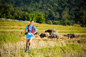 BIB: 1330
                            <button type="button" onclick="openModal(19127909)" class="btn btn-primary btn-sm float-right btn-popup" data-toggle="modal" data-target=".modal-high-quality">
                        <i class="fas fa-shopping-cart"></i> Add to Cart
                    </button>
                                            <button type="button" onclick="isThisMe(19127909, true)" class="btn btn-success btn-sm float-right btn-popup btn-isme hidden" data-toggle="tooltip" data-placement="bottom" title="นี่คือรูปของคุณใช่ไหม คลิกที่นี่เพื่อเอาเข้าอัลบั้ม">
                        <i class="fas fa-plus"></i> Add to album
                    </button>
                    <button type="button" onclick="isThisMe(19127909, false)" class="btn btn-warning btn-sm float-right btn-popup btn-isnotme hidden">
                        <i class="fas fa-ban"></i> Remove from album
                    </button>