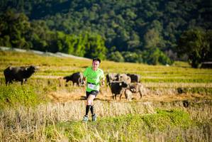 BIB: 
                            <button type="button" onclick="openModal(19127390)" class="btn btn-primary btn-sm float-right btn-popup" data-toggle="modal" data-target=".modal-high-quality">
                        <i class="fas fa-shopping-cart"></i> Add to Cart
                    </button>
                                            <button type="button" onclick="isThisMe(19127390, true)" class="btn btn-success btn-sm float-right btn-popup btn-isme hidden" data-toggle="tooltip" data-placement="bottom" title="นี่คือรูปของคุณใช่ไหม คลิกที่นี่เพื่อเอาเข้าอัลบั้ม">
                        <i class="fas fa-plus"></i> Add to album
                    </button>
                    <button type="button" onclick="isThisMe(19127390, false)" class="btn btn-warning btn-sm float-right btn-popup btn-isnotme hidden">
                        <i class="fas fa-ban"></i> Remove from album
                    </button>