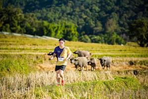 BIB: 1043
                            <button type="button" onclick="openModal(19127423)" class="btn btn-primary btn-sm float-right btn-popup" data-toggle="modal" data-target=".modal-high-quality">
                        <i class="fas fa-shopping-cart"></i> Add to Cart
                    </button>
                                            <button type="button" onclick="isThisMe(19127423, true)" class="btn btn-success btn-sm float-right btn-popup btn-isme hidden" data-toggle="tooltip" data-placement="bottom" title="นี่คือรูปของคุณใช่ไหม คลิกที่นี่เพื่อเอาเข้าอัลบั้ม">
                        <i class="fas fa-plus"></i> Add to album
                    </button>
                    <button type="button" onclick="isThisMe(19127423, false)" class="btn btn-warning btn-sm float-right btn-popup btn-isnotme hidden">
                        <i class="fas fa-ban"></i> Remove from album
                    </button>