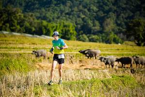 BIB: 114
                            <button type="button" onclick="openModal(19127568)" class="btn btn-primary btn-sm float-right btn-popup" data-toggle="modal" data-target=".modal-high-quality">
                        <i class="fas fa-shopping-cart"></i> Add to Cart
                    </button>
                                            <button type="button" onclick="isThisMe(19127568, true)" class="btn btn-success btn-sm float-right btn-popup btn-isme hidden" data-toggle="tooltip" data-placement="bottom" title="นี่คือรูปของคุณใช่ไหม คลิกที่นี่เพื่อเอาเข้าอัลบั้ม">
                        <i class="fas fa-plus"></i> Add to album
                    </button>
                    <button type="button" onclick="isThisMe(19127568, false)" class="btn btn-warning btn-sm float-right btn-popup btn-isnotme hidden">
                        <i class="fas fa-ban"></i> Remove from album
                    </button>