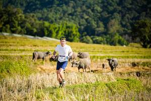 BIB: 
                            <button type="button" onclick="openModal(19127458)" class="btn btn-primary btn-sm float-right btn-popup" data-toggle="modal" data-target=".modal-high-quality">
                        <i class="fas fa-shopping-cart"></i> Add to Cart
                    </button>
                                            <button type="button" onclick="isThisMe(19127458, true)" class="btn btn-success btn-sm float-right btn-popup btn-isme hidden" data-toggle="tooltip" data-placement="bottom" title="นี่คือรูปของคุณใช่ไหม คลิกที่นี่เพื่อเอาเข้าอัลบั้ม">
                        <i class="fas fa-plus"></i> Add to album
                    </button>
                    <button type="button" onclick="isThisMe(19127458, false)" class="btn btn-warning btn-sm float-right btn-popup btn-isnotme hidden">
                        <i class="fas fa-ban"></i> Remove from album
                    </button>