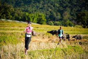 BIB: 1035
                            <button type="button" onclick="openModal(19127717)" class="btn btn-primary btn-sm float-right btn-popup" data-toggle="modal" data-target=".modal-high-quality">
                        <i class="fas fa-shopping-cart"></i> Add to Cart
                    </button>
                                            <button type="button" onclick="isThisMe(19127717, true)" class="btn btn-success btn-sm float-right btn-popup btn-isme hidden" data-toggle="tooltip" data-placement="bottom" title="นี่คือรูปของคุณใช่ไหม คลิกที่นี่เพื่อเอาเข้าอัลบั้ม">
                        <i class="fas fa-plus"></i> Add to album
                    </button>
                    <button type="button" onclick="isThisMe(19127717, false)" class="btn btn-warning btn-sm float-right btn-popup btn-isnotme hidden">
                        <i class="fas fa-ban"></i> Remove from album
                    </button>