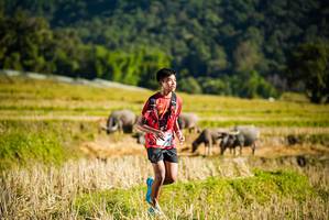 BIB: 
                            <button type="button" onclick="openModal(19127450)" class="btn btn-primary btn-sm float-right btn-popup" data-toggle="modal" data-target=".modal-high-quality">
                        <i class="fas fa-shopping-cart"></i> Add to Cart
                    </button>
                                            <button type="button" onclick="isThisMe(19127450, true)" class="btn btn-success btn-sm float-right btn-popup btn-isme hidden" data-toggle="tooltip" data-placement="bottom" title="นี่คือรูปของคุณใช่ไหม คลิกที่นี่เพื่อเอาเข้าอัลบั้ม">
                        <i class="fas fa-plus"></i> Add to album
                    </button>
                    <button type="button" onclick="isThisMe(19127450, false)" class="btn btn-warning btn-sm float-right btn-popup btn-isnotme hidden">
                        <i class="fas fa-ban"></i> Remove from album
                    </button>