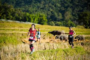 BIB: 142
                            <button type="button" onclick="openModal(19127708)" class="btn btn-primary btn-sm float-right btn-popup" data-toggle="modal" data-target=".modal-high-quality">
                        <i class="fas fa-shopping-cart"></i> Add to Cart
                    </button>
                                            <button type="button" onclick="isThisMe(19127708, true)" class="btn btn-success btn-sm float-right btn-popup btn-isme hidden" data-toggle="tooltip" data-placement="bottom" title="นี่คือรูปของคุณใช่ไหม คลิกที่นี่เพื่อเอาเข้าอัลบั้ม">
                        <i class="fas fa-plus"></i> Add to album
                    </button>
                    <button type="button" onclick="isThisMe(19127708, false)" class="btn btn-warning btn-sm float-right btn-popup btn-isnotme hidden">
                        <i class="fas fa-ban"></i> Remove from album
                    </button>