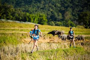 BIB: 
                            <button type="button" onclick="openModal(19127808)" class="btn btn-primary btn-sm float-right btn-popup" data-toggle="modal" data-target=".modal-high-quality">
                        <i class="fas fa-shopping-cart"></i> Add to Cart
                    </button>
                                            <button type="button" onclick="isThisMe(19127808, true)" class="btn btn-success btn-sm float-right btn-popup btn-isme hidden" data-toggle="tooltip" data-placement="bottom" title="นี่คือรูปของคุณใช่ไหม คลิกที่นี่เพื่อเอาเข้าอัลบั้ม">
                        <i class="fas fa-plus"></i> Add to album
                    </button>
                    <button type="button" onclick="isThisMe(19127808, false)" class="btn btn-warning btn-sm float-right btn-popup btn-isnotme hidden">
                        <i class="fas fa-ban"></i> Remove from album
                    </button>