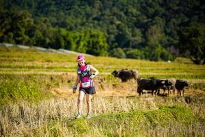 BIB: 
                            <button type="button" onclick="openModal(19128280)" class="btn btn-primary btn-sm float-right btn-popup" data-toggle="modal" data-target=".modal-high-quality">
                        <i class="fas fa-shopping-cart"></i> Add to Cart
                    </button>
                                            <button type="button" onclick="isThisMe(19128280, true)" class="btn btn-success btn-sm float-right btn-popup btn-isme hidden" data-toggle="tooltip" data-placement="bottom" title="นี่คือรูปของคุณใช่ไหม คลิกที่นี่เพื่อเอาเข้าอัลบั้ม">
                        <i class="fas fa-plus"></i> Add to album
                    </button>
                    <button type="button" onclick="isThisMe(19128280, false)" class="btn btn-warning btn-sm float-right btn-popup btn-isnotme hidden">
                        <i class="fas fa-ban"></i> Remove from album
                    </button>