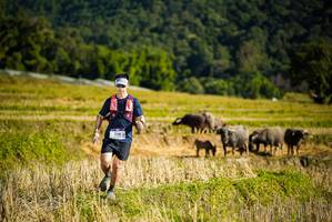 BIB: 1198
                            <button type="button" onclick="openModal(19128230)" class="btn btn-primary btn-sm float-right btn-popup" data-toggle="modal" data-target=".modal-high-quality">
                        <i class="fas fa-shopping-cart"></i> Add to Cart
                    </button>
                                            <button type="button" onclick="isThisMe(19128230, true)" class="btn btn-success btn-sm float-right btn-popup btn-isme hidden" data-toggle="tooltip" data-placement="bottom" title="นี่คือรูปของคุณใช่ไหม คลิกที่นี่เพื่อเอาเข้าอัลบั้ม">
                        <i class="fas fa-plus"></i> Add to album
                    </button>
                    <button type="button" onclick="isThisMe(19128230, false)" class="btn btn-warning btn-sm float-right btn-popup btn-isnotme hidden">
                        <i class="fas fa-ban"></i> Remove from album
                    </button>