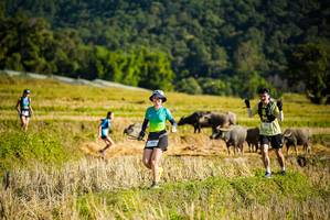 BIB: 730
                            <button type="button" onclick="openModal(19127784)" class="btn btn-primary btn-sm float-right btn-popup" data-toggle="modal" data-target=".modal-high-quality">
                        <i class="fas fa-shopping-cart"></i> Add to Cart
                    </button>
                                            <button type="button" onclick="isThisMe(19127784, true)" class="btn btn-success btn-sm float-right btn-popup btn-isme hidden" data-toggle="tooltip" data-placement="bottom" title="นี่คือรูปของคุณใช่ไหม คลิกที่นี่เพื่อเอาเข้าอัลบั้ม">
                        <i class="fas fa-plus"></i> Add to album
                    </button>
                    <button type="button" onclick="isThisMe(19127784, false)" class="btn btn-warning btn-sm float-right btn-popup btn-isnotme hidden">
                        <i class="fas fa-ban"></i> Remove from album
                    </button>