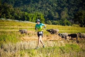 BIB: 
                            <button type="button" onclick="openModal(19127567)" class="btn btn-primary btn-sm float-right btn-popup" data-toggle="modal" data-target=".modal-high-quality">
                        <i class="fas fa-shopping-cart"></i> Add to Cart
                    </button>
                                            <button type="button" onclick="isThisMe(19127567, true)" class="btn btn-success btn-sm float-right btn-popup btn-isme hidden" data-toggle="tooltip" data-placement="bottom" title="นี่คือรูปของคุณใช่ไหม คลิกที่นี่เพื่อเอาเข้าอัลบั้ม">
                        <i class="fas fa-plus"></i> Add to album
                    </button>
                    <button type="button" onclick="isThisMe(19127567, false)" class="btn btn-warning btn-sm float-right btn-popup btn-isnotme hidden">
                        <i class="fas fa-ban"></i> Remove from album
                    </button>