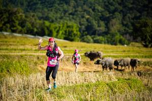 BIB: 
                            <button type="button" onclick="openModal(19128277)" class="btn btn-primary btn-sm float-right btn-popup" data-toggle="modal" data-target=".modal-high-quality">
                        <i class="fas fa-shopping-cart"></i> Add to Cart
                    </button>
                                            <button type="button" onclick="isThisMe(19128277, true)" class="btn btn-success btn-sm float-right btn-popup btn-isme hidden" data-toggle="tooltip" data-placement="bottom" title="นี่คือรูปของคุณใช่ไหม คลิกที่นี่เพื่อเอาเข้าอัลบั้ม">
                        <i class="fas fa-plus"></i> Add to album
                    </button>
                    <button type="button" onclick="isThisMe(19128277, false)" class="btn btn-warning btn-sm float-right btn-popup btn-isnotme hidden">
                        <i class="fas fa-ban"></i> Remove from album
                    </button>