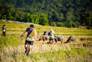 BIB: 1004
                            <button type="button" onclick="openModal(19127968)" class="btn btn-primary btn-sm float-right btn-popup" data-toggle="modal" data-target=".modal-high-quality">
                        <i class="fas fa-shopping-cart"></i> Add to Cart
                    </button>
                                            <button type="button" onclick="isThisMe(19127968, true)" class="btn btn-success btn-sm float-right btn-popup btn-isme hidden" data-toggle="tooltip" data-placement="bottom" title="นี่คือรูปของคุณใช่ไหม คลิกที่นี่เพื่อเอาเข้าอัลบั้ม">
                        <i class="fas fa-plus"></i> Add to album
                    </button>
                    <button type="button" onclick="isThisMe(19127968, false)" class="btn btn-warning btn-sm float-right btn-popup btn-isnotme hidden">
                        <i class="fas fa-ban"></i> Remove from album
                    </button>