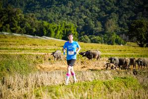 BIB: 
                            <button type="button" onclick="openModal(19127634)" class="btn btn-primary btn-sm float-right btn-popup" data-toggle="modal" data-target=".modal-high-quality">
                        <i class="fas fa-shopping-cart"></i> Add to Cart
                    </button>
                                            <button type="button" onclick="isThisMe(19127634, true)" class="btn btn-success btn-sm float-right btn-popup btn-isme hidden" data-toggle="tooltip" data-placement="bottom" title="นี่คือรูปของคุณใช่ไหม คลิกที่นี่เพื่อเอาเข้าอัลบั้ม">
                        <i class="fas fa-plus"></i> Add to album
                    </button>
                    <button type="button" onclick="isThisMe(19127634, false)" class="btn btn-warning btn-sm float-right btn-popup btn-isnotme hidden">
                        <i class="fas fa-ban"></i> Remove from album
                    </button>