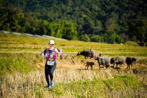 BIB: 
                            <button type="button" onclick="openModal(19128216)" class="btn btn-primary btn-sm float-right btn-popup" data-toggle="modal" data-target=".modal-high-quality">
                        <i class="fas fa-shopping-cart"></i> Add to Cart
                    </button>
                                            <button type="button" onclick="isThisMe(19128216, true)" class="btn btn-success btn-sm float-right btn-popup btn-isme hidden" data-toggle="tooltip" data-placement="bottom" title="นี่คือรูปของคุณใช่ไหม คลิกที่นี่เพื่อเอาเข้าอัลบั้ม">
                        <i class="fas fa-plus"></i> Add to album
                    </button>
                    <button type="button" onclick="isThisMe(19128216, false)" class="btn btn-warning btn-sm float-right btn-popup btn-isnotme hidden">
                        <i class="fas fa-ban"></i> Remove from album
                    </button>