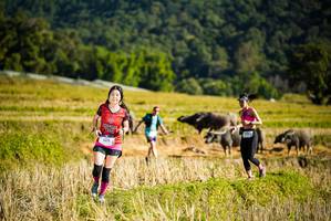 BIB: 1472
                            <button type="button" onclick="openModal(19127709)" class="btn btn-primary btn-sm float-right btn-popup" data-toggle="modal" data-target=".modal-high-quality">
                        <i class="fas fa-shopping-cart"></i> Add to Cart
                    </button>
                                            <button type="button" onclick="isThisMe(19127709, true)" class="btn btn-success btn-sm float-right btn-popup btn-isme hidden" data-toggle="tooltip" data-placement="bottom" title="นี่คือรูปของคุณใช่ไหม คลิกที่นี่เพื่อเอาเข้าอัลบั้ม">
                        <i class="fas fa-plus"></i> Add to album
                    </button>
                    <button type="button" onclick="isThisMe(19127709, false)" class="btn btn-warning btn-sm float-right btn-popup btn-isnotme hidden">
                        <i class="fas fa-ban"></i> Remove from album
                    </button>