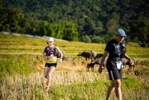 BIB: 
                            <button type="button" onclick="openModal(19128200)" class="btn btn-primary btn-sm float-right btn-popup" data-toggle="modal" data-target=".modal-high-quality">
                        <i class="fas fa-shopping-cart"></i> Add to Cart
                    </button>
                                            <button type="button" onclick="isThisMe(19128200, true)" class="btn btn-success btn-sm float-right btn-popup btn-isme hidden" data-toggle="tooltip" data-placement="bottom" title="นี่คือรูปของคุณใช่ไหม คลิกที่นี่เพื่อเอาเข้าอัลบั้ม">
                        <i class="fas fa-plus"></i> Add to album
                    </button>
                    <button type="button" onclick="isThisMe(19128200, false)" class="btn btn-warning btn-sm float-right btn-popup btn-isnotme hidden">
                        <i class="fas fa-ban"></i> Remove from album
                    </button>