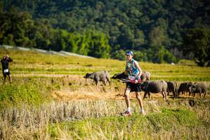 BIB: 
                            <button type="button" onclick="openModal(19127645)" class="btn btn-primary btn-sm float-right btn-popup" data-toggle="modal" data-target=".modal-high-quality">
                        <i class="fas fa-shopping-cart"></i> Add to Cart
                    </button>
                                            <button type="button" onclick="isThisMe(19127645, true)" class="btn btn-success btn-sm float-right btn-popup btn-isme hidden" data-toggle="tooltip" data-placement="bottom" title="นี่คือรูปของคุณใช่ไหม คลิกที่นี่เพื่อเอาเข้าอัลบั้ม">
                        <i class="fas fa-plus"></i> Add to album
                    </button>
                    <button type="button" onclick="isThisMe(19127645, false)" class="btn btn-warning btn-sm float-right btn-popup btn-isnotme hidden">
                        <i class="fas fa-ban"></i> Remove from album
                    </button>