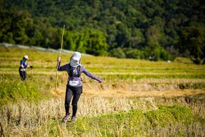 BIB: 1368
                            <button type="button" onclick="openModal(19129998)" class="btn btn-primary btn-sm float-right btn-popup" data-toggle="modal" data-target=".modal-high-quality">
                        <i class="fas fa-shopping-cart"></i> Add to Cart
                    </button>
                                            <button type="button" onclick="isThisMe(19129998, true)" class="btn btn-success btn-sm float-right btn-popup btn-isme hidden" data-toggle="tooltip" data-placement="bottom" title="นี่คือรูปของคุณใช่ไหม คลิกที่นี่เพื่อเอาเข้าอัลบั้ม">
                        <i class="fas fa-plus"></i> Add to album
                    </button>
                    <button type="button" onclick="isThisMe(19129998, false)" class="btn btn-warning btn-sm float-right btn-popup btn-isnotme hidden">
                        <i class="fas fa-ban"></i> Remove from album
                    </button>