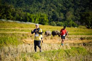 BIB: 
                            <button type="button" onclick="openModal(19128379)" class="btn btn-primary btn-sm float-right btn-popup" data-toggle="modal" data-target=".modal-high-quality">
                        <i class="fas fa-shopping-cart"></i> Add to Cart
                    </button>
                                            <button type="button" onclick="isThisMe(19128379, true)" class="btn btn-success btn-sm float-right btn-popup btn-isme hidden" data-toggle="tooltip" data-placement="bottom" title="นี่คือรูปของคุณใช่ไหม คลิกที่นี่เพื่อเอาเข้าอัลบั้ม">
                        <i class="fas fa-plus"></i> Add to album
                    </button>
                    <button type="button" onclick="isThisMe(19128379, false)" class="btn btn-warning btn-sm float-right btn-popup btn-isnotme hidden">
                        <i class="fas fa-ban"></i> Remove from album
                    </button>