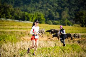 BIB: 
                            <button type="button" onclick="openModal(19127666)" class="btn btn-primary btn-sm float-right btn-popup" data-toggle="modal" data-target=".modal-high-quality">
                        <i class="fas fa-shopping-cart"></i> Add to Cart
                    </button>
                                            <button type="button" onclick="isThisMe(19127666, true)" class="btn btn-success btn-sm float-right btn-popup btn-isme hidden" data-toggle="tooltip" data-placement="bottom" title="นี่คือรูปของคุณใช่ไหม คลิกที่นี่เพื่อเอาเข้าอัลบั้ม">
                        <i class="fas fa-plus"></i> Add to album
                    </button>
                    <button type="button" onclick="isThisMe(19127666, false)" class="btn btn-warning btn-sm float-right btn-popup btn-isnotme hidden">
                        <i class="fas fa-ban"></i> Remove from album
                    </button>