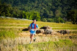 BIB: 
                            <button type="button" onclick="openModal(19127905)" class="btn btn-primary btn-sm float-right btn-popup" data-toggle="modal" data-target=".modal-high-quality">
                        <i class="fas fa-shopping-cart"></i> Add to Cart
                    </button>
                                            <button type="button" onclick="isThisMe(19127905, true)" class="btn btn-success btn-sm float-right btn-popup btn-isme hidden" data-toggle="tooltip" data-placement="bottom" title="นี่คือรูปของคุณใช่ไหม คลิกที่นี่เพื่อเอาเข้าอัลบั้ม">
                        <i class="fas fa-plus"></i> Add to album
                    </button>
                    <button type="button" onclick="isThisMe(19127905, false)" class="btn btn-warning btn-sm float-right btn-popup btn-isnotme hidden">
                        <i class="fas fa-ban"></i> Remove from album
                    </button>