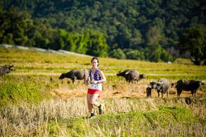 BIB: 
                            <button type="button" onclick="openModal(19127540)" class="btn btn-primary btn-sm float-right btn-popup" data-toggle="modal" data-target=".modal-high-quality">
                        <i class="fas fa-shopping-cart"></i> Add to Cart
                    </button>
                                            <button type="button" onclick="isThisMe(19127540, true)" class="btn btn-success btn-sm float-right btn-popup btn-isme hidden" data-toggle="tooltip" data-placement="bottom" title="นี่คือรูปของคุณใช่ไหม คลิกที่นี่เพื่อเอาเข้าอัลบั้ม">
                        <i class="fas fa-plus"></i> Add to album
                    </button>
                    <button type="button" onclick="isThisMe(19127540, false)" class="btn btn-warning btn-sm float-right btn-popup btn-isnotme hidden">
                        <i class="fas fa-ban"></i> Remove from album
                    </button>